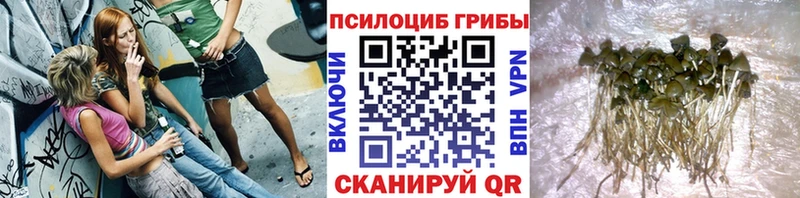Псилоцибиновые грибы Cubensis  кракен ONION  Калуга 